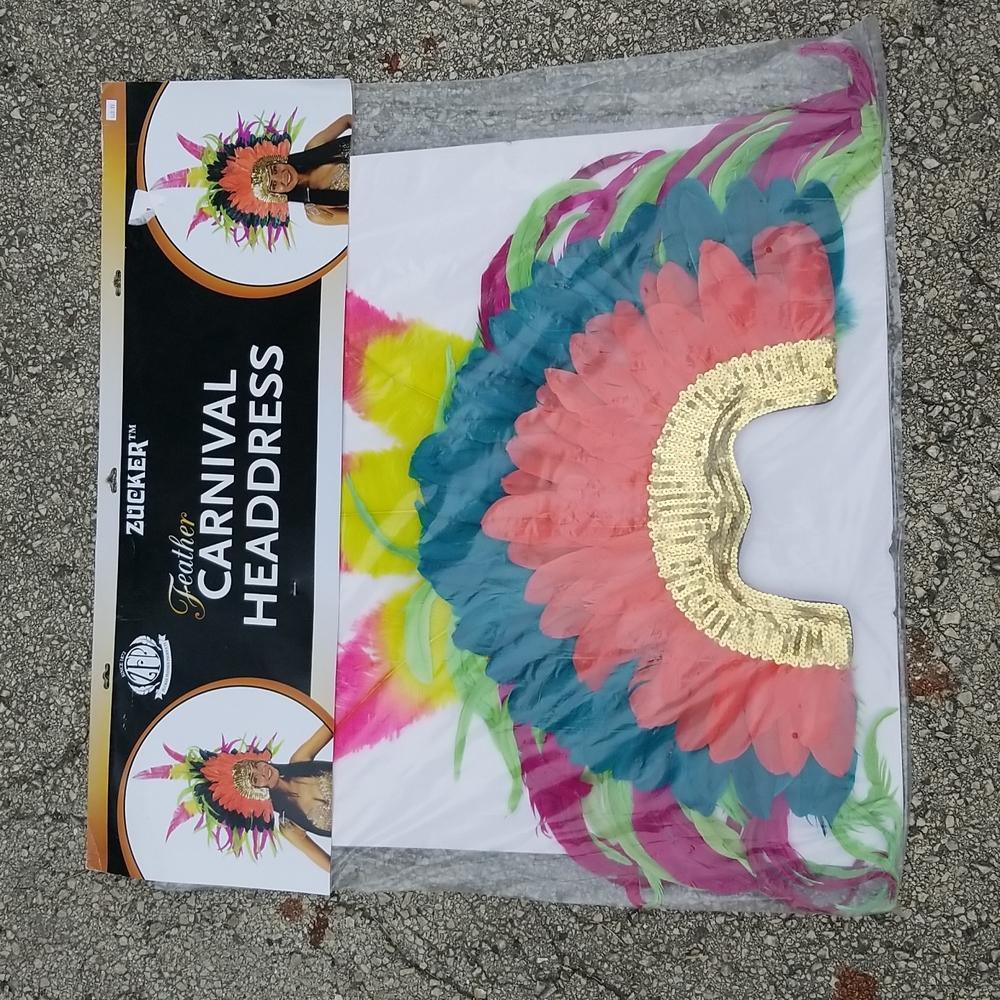 Feather Carnival Headdress - Picture 5 of 5
